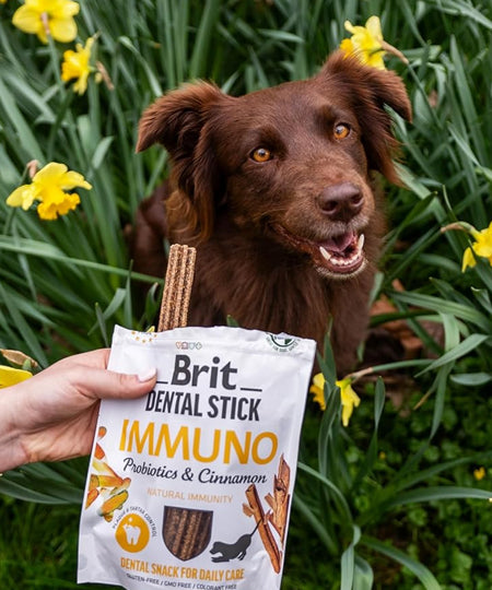 brit-stick-dentaire-naturelles-pour-chien-immunitaire
