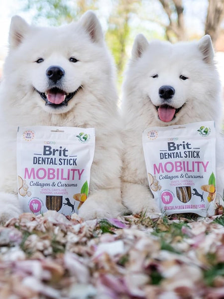 brit-stick-dentaire-naturelles-pour-chien-mobilite