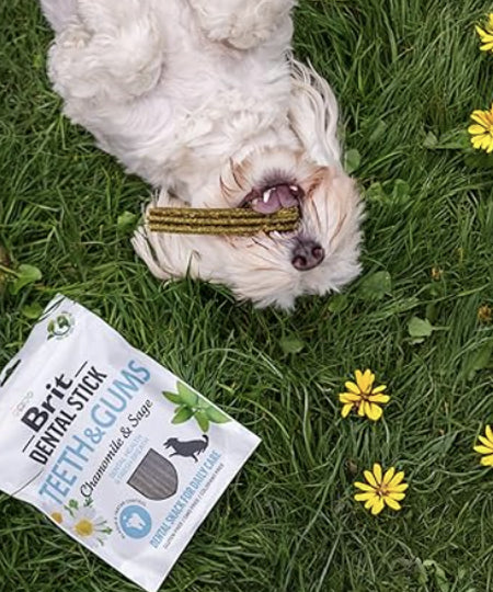 brit-stick-dentaire-naturelles-pour-chien-soin-dentaire