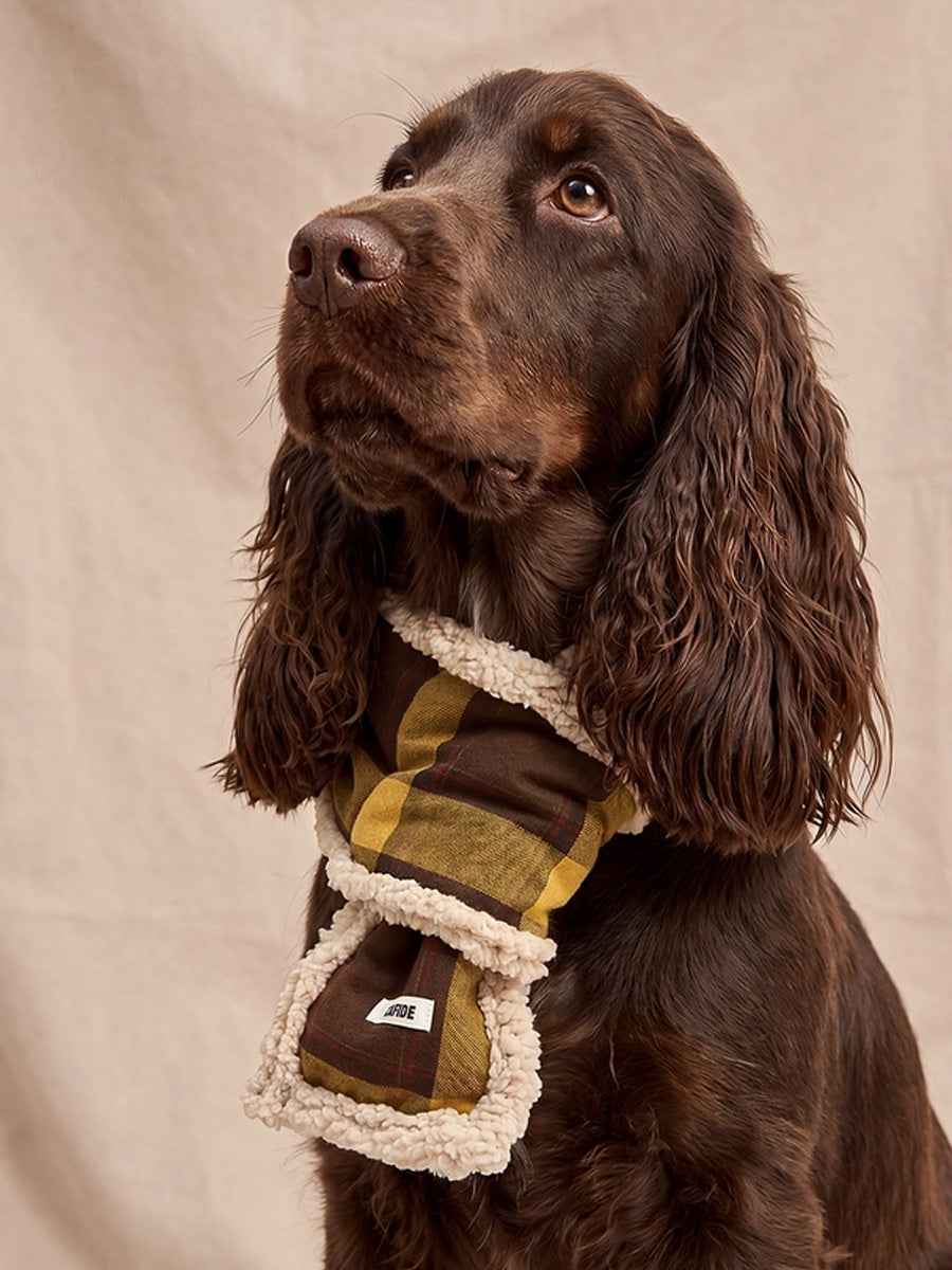 cafide-echarppe-pour-chien-premium-Mica-jaune-moutarde-Tartan