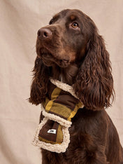 cafide-echarppe-pour-chien-premium-Mica-jaune-moutarde-Tartan