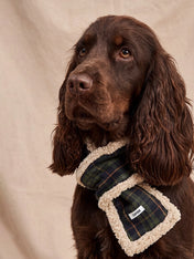 cafide-echarppe-pour-chien-premium-Mica-vert-Tartan