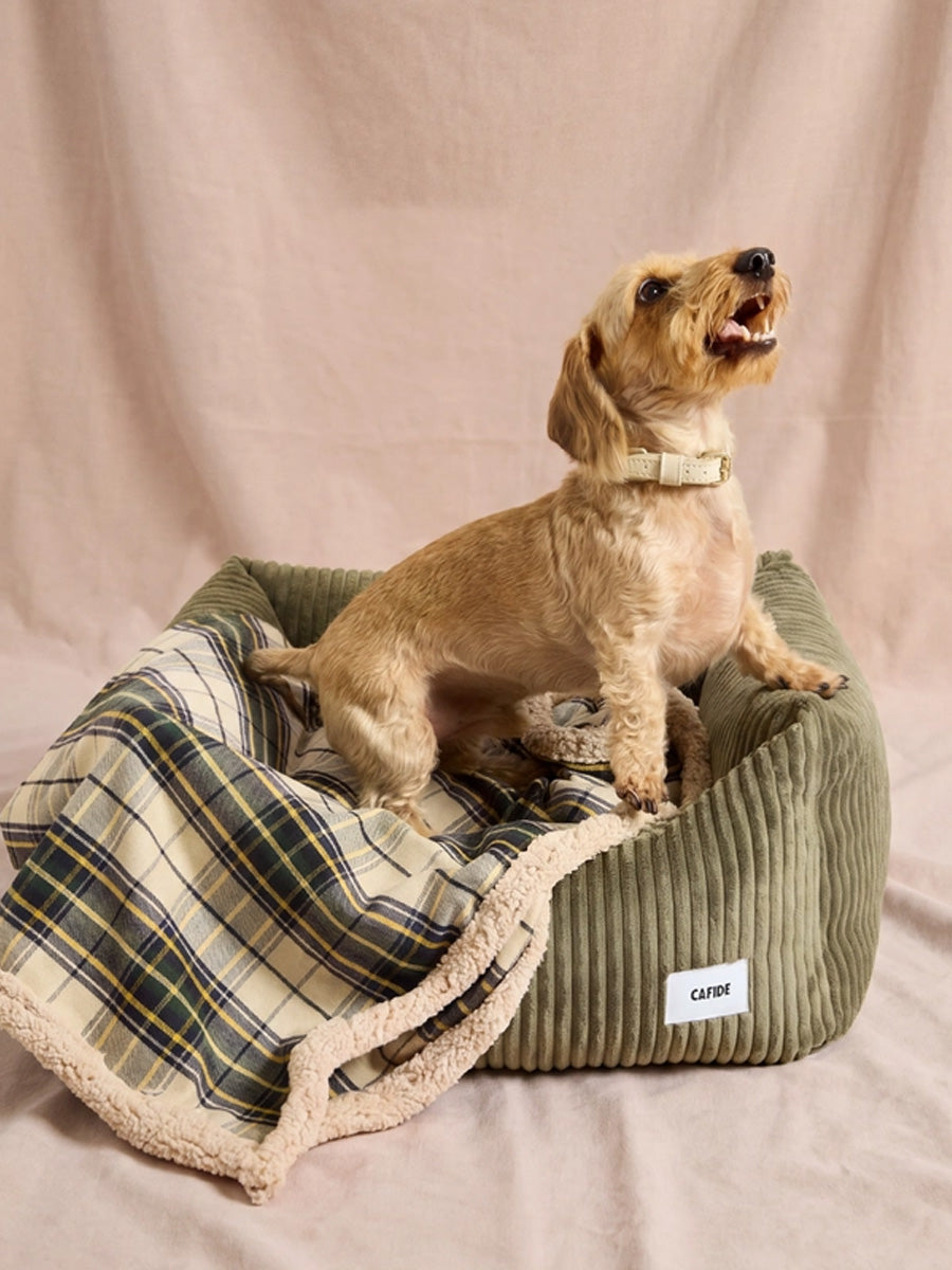 cafide-plaid-pour-chien-premium-douillet-toia-beige-Tartan