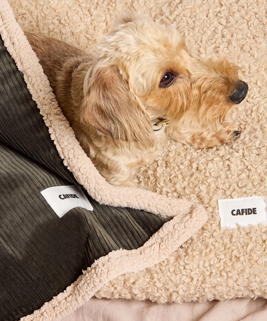 cafide-plaid-pour-chien-premium-douillet-toia-corduroy-vert