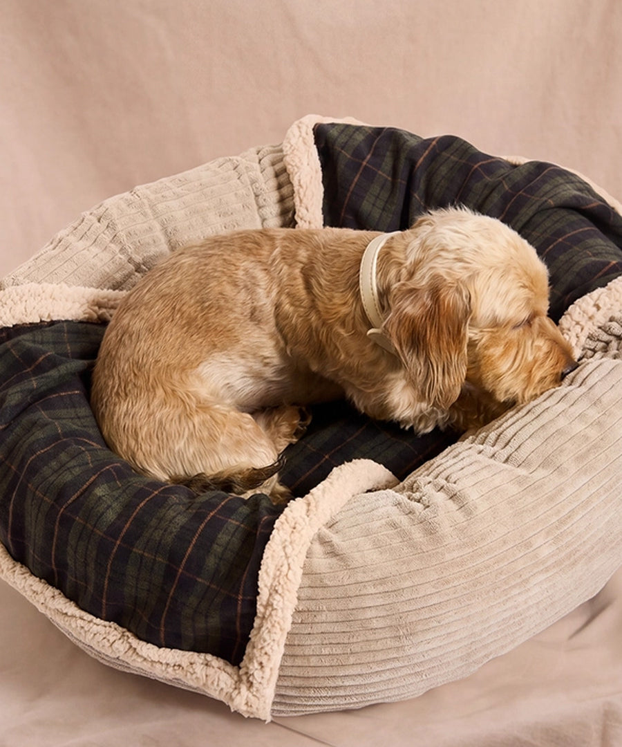 cafide-plaid-pour-chien-premium-douillet-toia-vert-Tartan