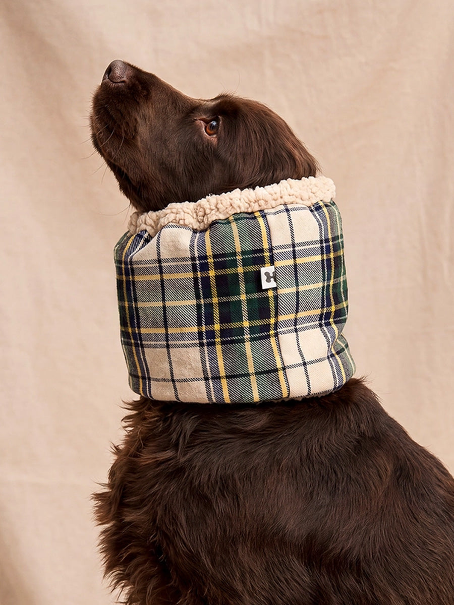 cafide-snood-pour-chien-premium-Olga-beige-Tartan