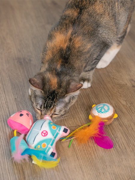 catstages-jouet-lot-3-peluches-pour-chat-festival