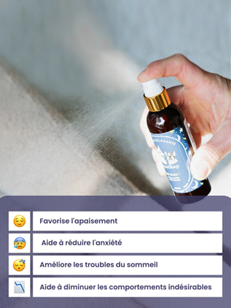 dexter-et-mango-soins-pour-chien-Brume-relaxante-Me_dors-anti-stress-pour-chien-naturel-apaisant