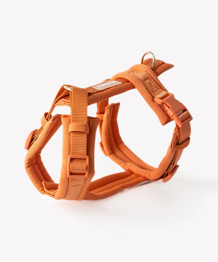 furlou-harnais-pour-chien-comfort-terracotta