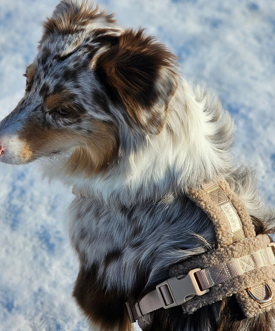 furlou-harnais-pour-chien-sherpa-beige