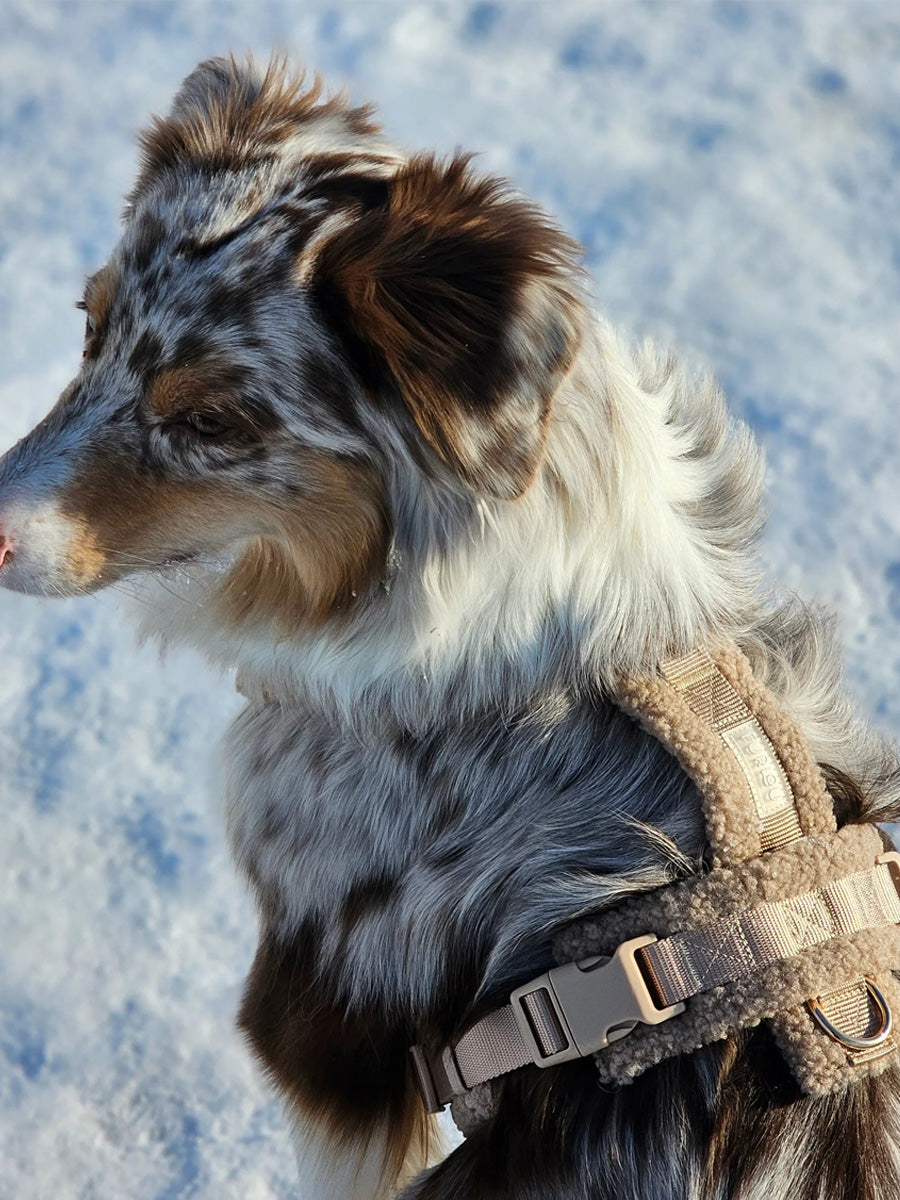 furlou-harnais-pour-chien-sherpa-beige