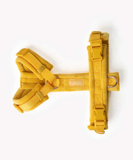 furlou-harnais-pour-chien-velvet-jaune