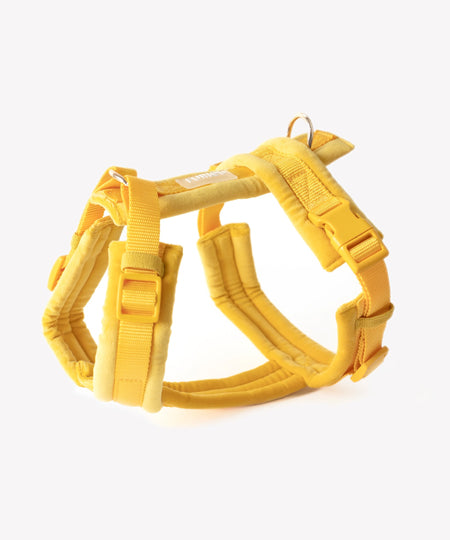 furlou-harnais-pour-chien-velvet-jaune