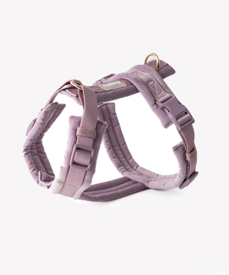 furlou-harnais-pour-chien-velvet-lavende-violet