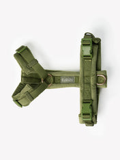 furlou-harnais-pour-chien-velvet-vert