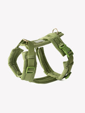 furlou-harnais-pour-chien-velvet-vert