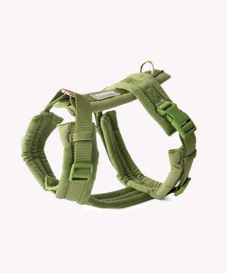 furlou-harnais-pour-chien-velvet-vert