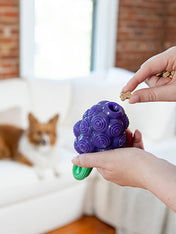hound-outward-jouet-distributeur-friandises-pour-chien-raisin