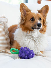 hound-outward-jouet-distributeur-friandises-pour-chien-raisin
