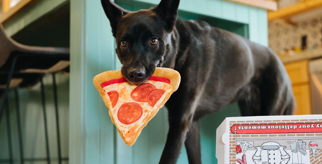 inooko-boutique-pour-chien-sélection-cadeau-foodies