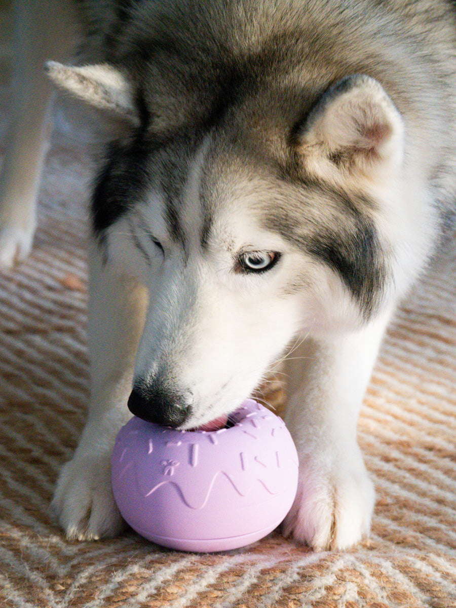 inooko-jouet-occupation-pour-chien-Yoomy-donut-violet