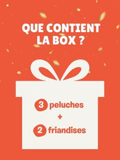 inooko-la-box-mystere-mars-2025