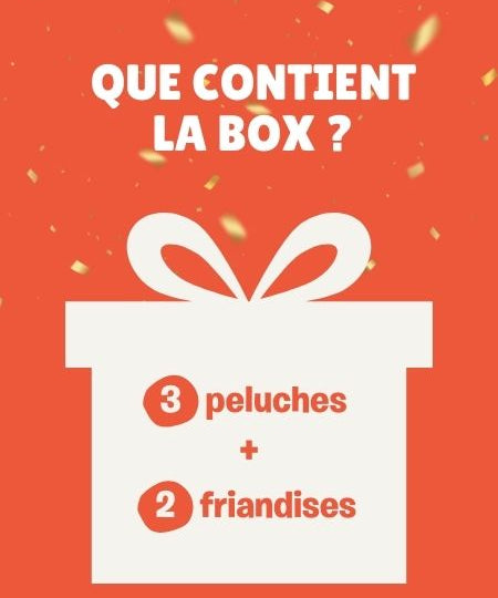 inooko-la-box-mystere-mars-2025