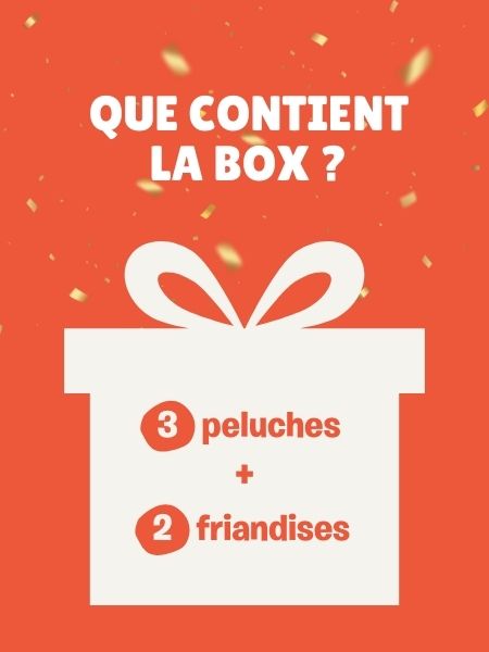 inooko-la-box-mystere-mars-2025
