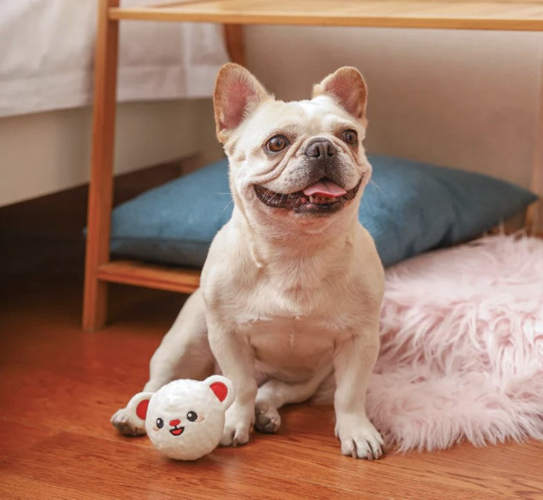 inooko-wholesale-hugsmart-peluche-pour-chien