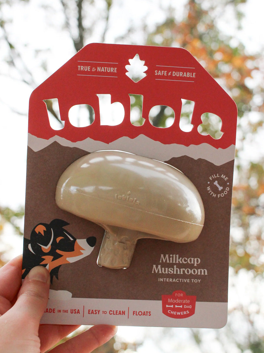 loblola-jouet-occupation-fouille-pour-chien-2025-champignon