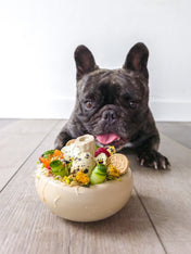 loblola-jouet-occupation-fouille-pour-chien-2025-champignon