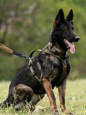 non-stop-dogwear-harnais-chien-Line-harnessgrip-working-dog