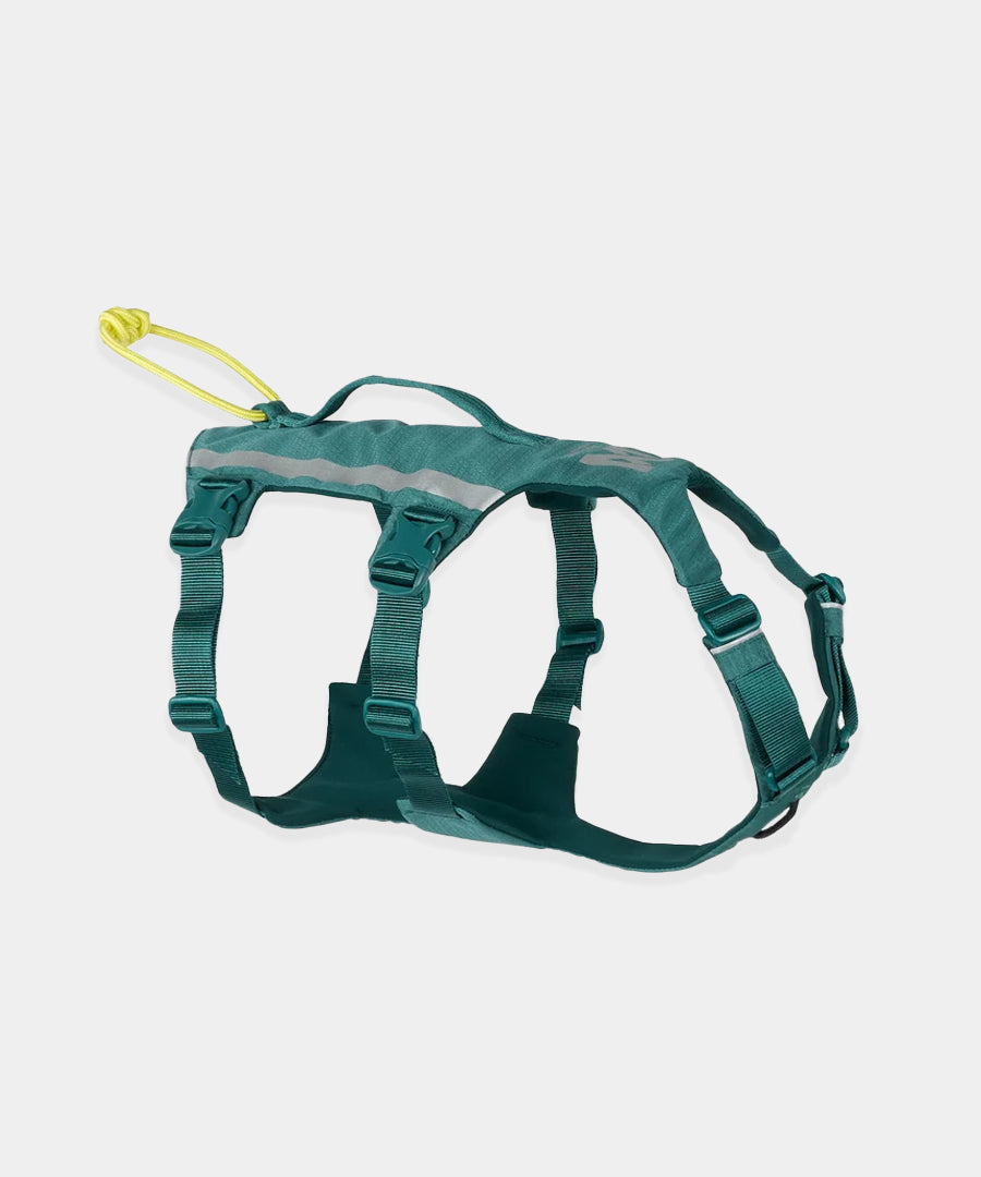 non-stop-dogwear-harnais-chien-Ramble-harness-long