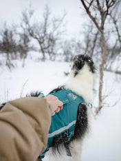 non-stop-dogwear-harnais-chien-Ramble-harness-long