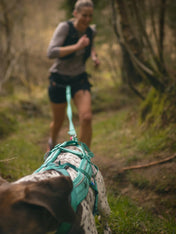 non-stop-dogwear-harnais-de-traction-chien-freemotion-aqua