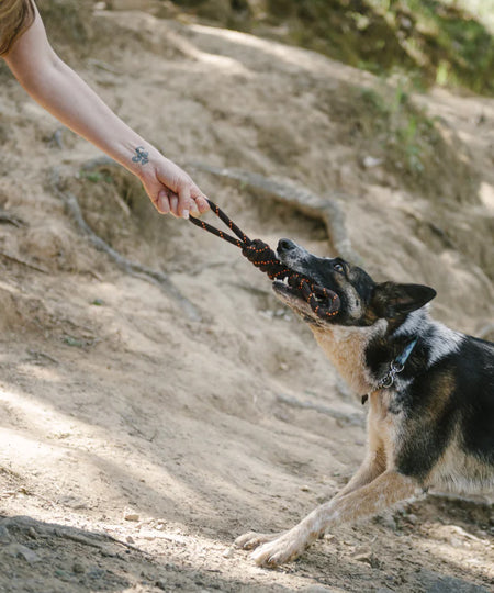 pet-play-jouet-en-corde-chien-Tug-rope
