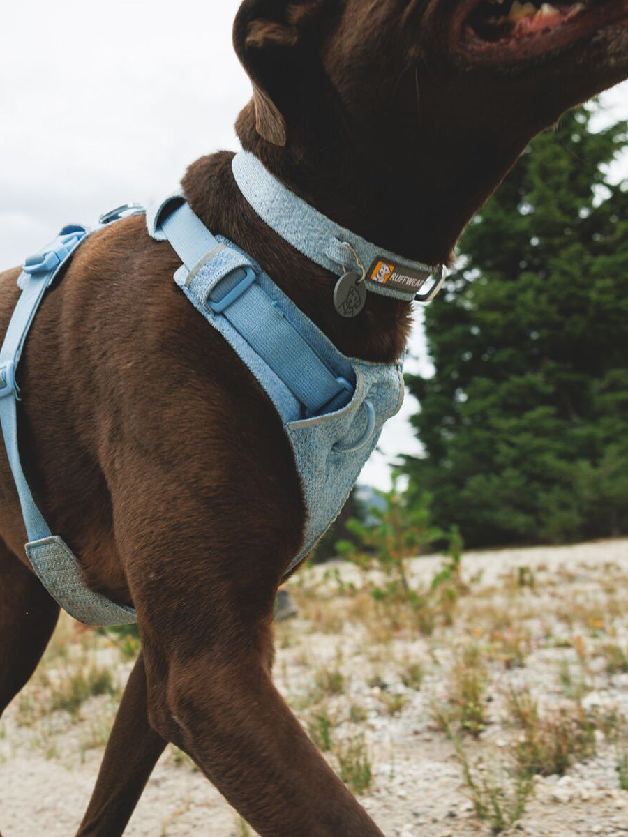 ruffwear-collier-front-range-flex-pour-chien-bleu