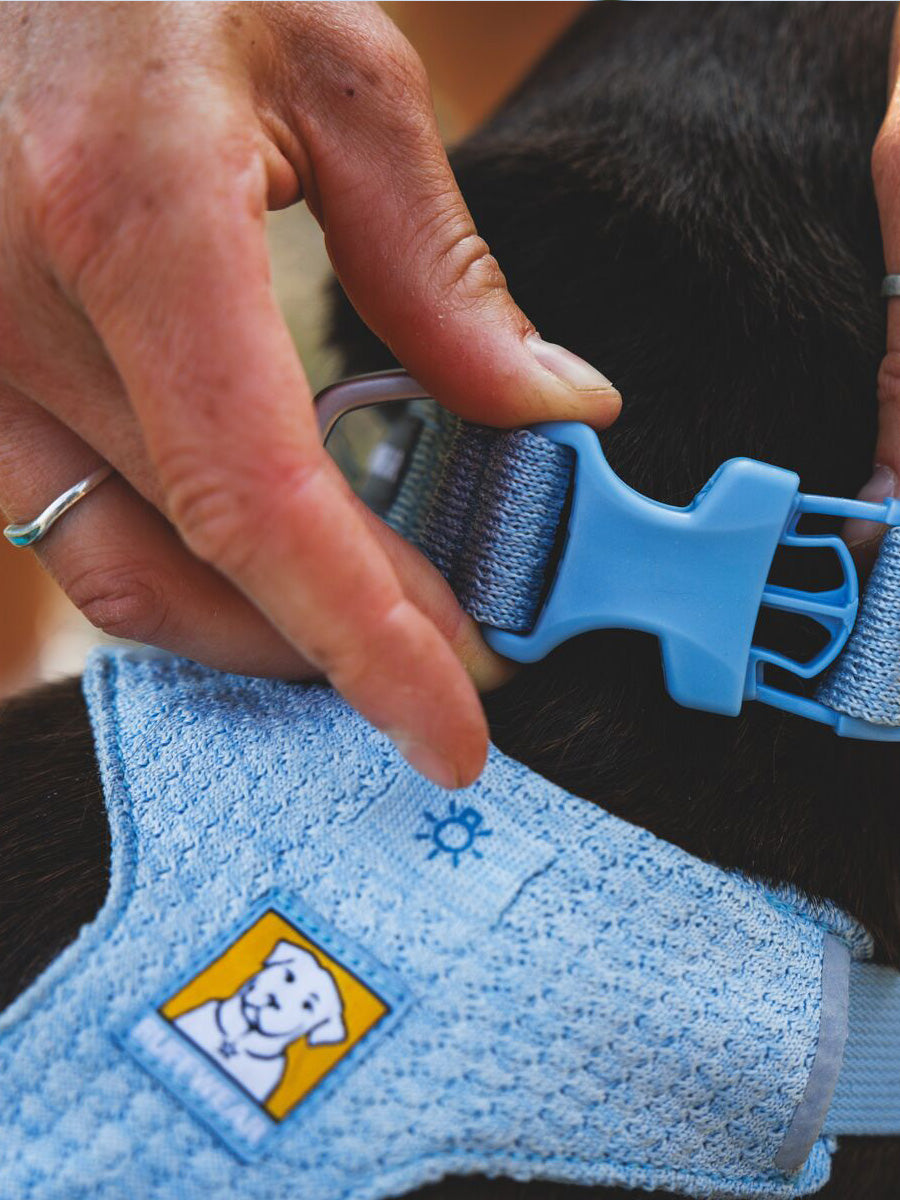 ruffwear-collier-front-range-flex-pour-chien-bleu