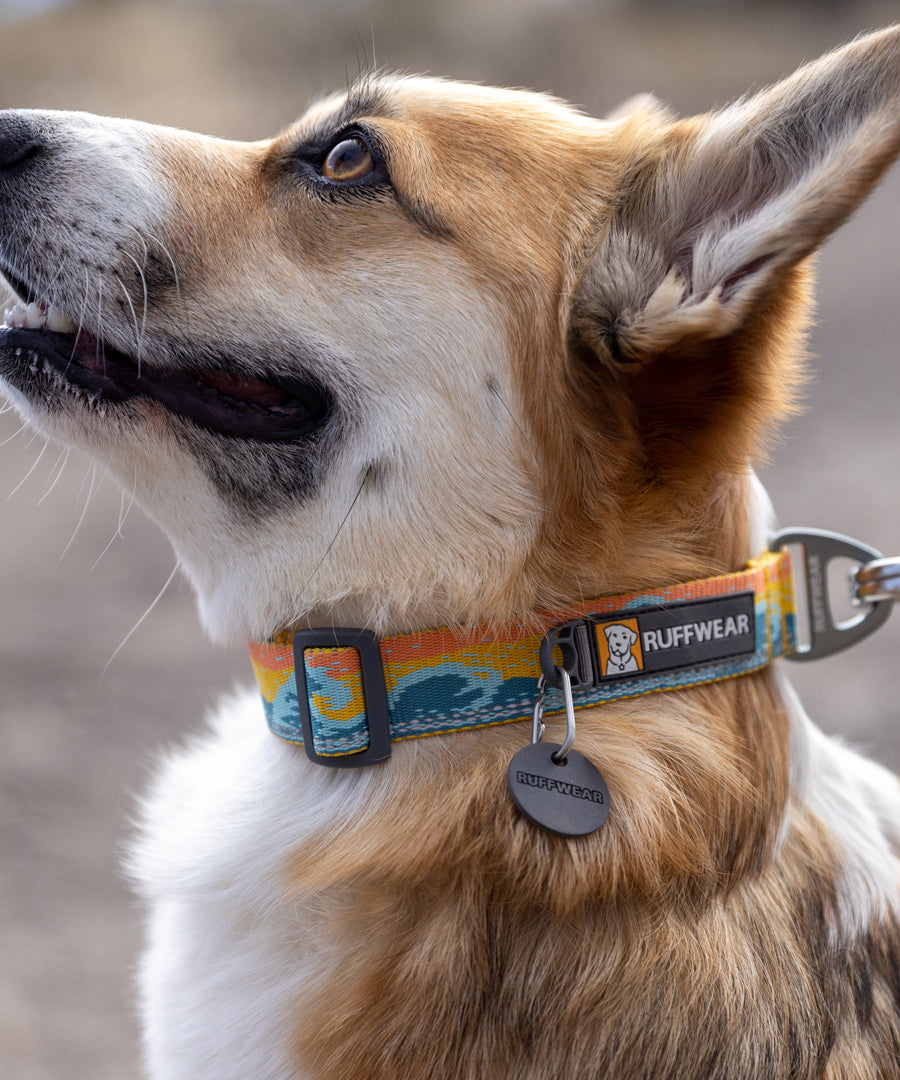 ruffwear-collier-pour-chien-Crag-Hands-Free-Leash-RisingWave