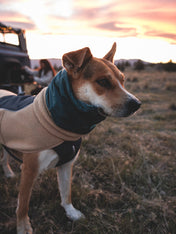 ruffwear-harnais-veste-polaire-pour-chien-Timberline-Fuse-Fleece-Vest-Driftwood