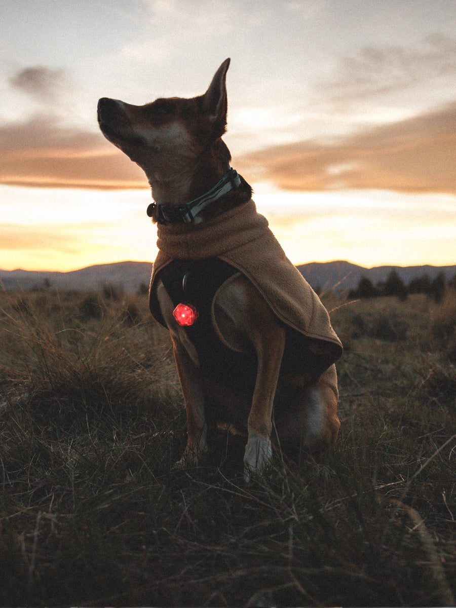 ruffwear-harnais-veste-polaire-pour-chien-Timberline-Fuse-Fleece-Vest-Driftwood
