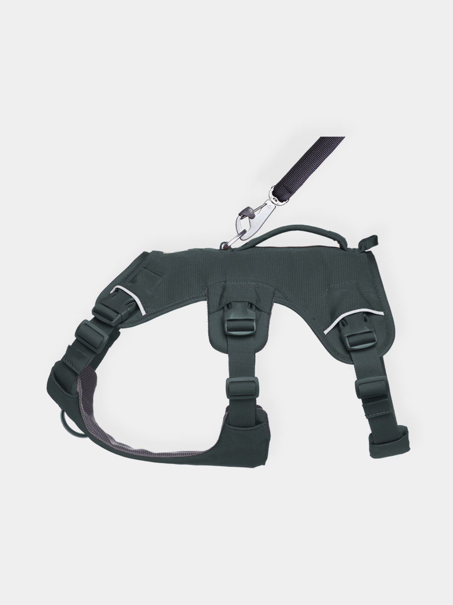 ruffwear-harnais-web-master-pour-chien-gris