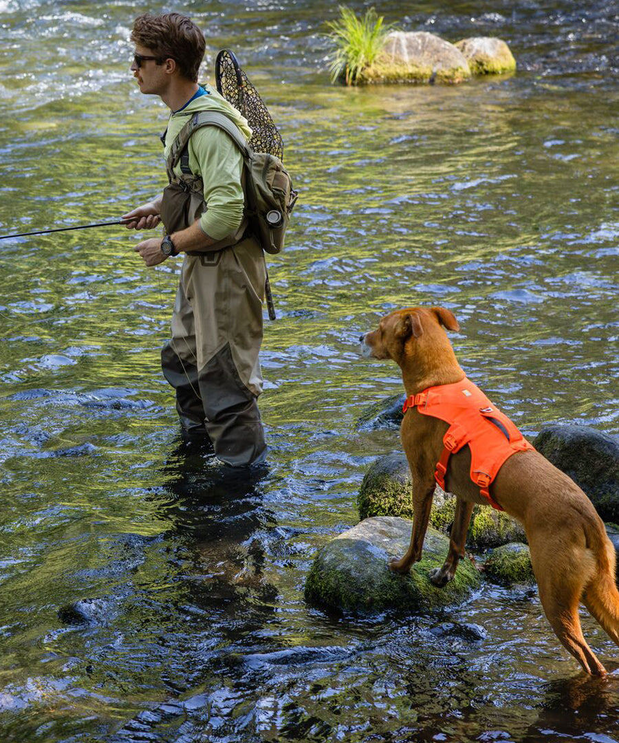 ruffwear-harnais-web-master-pour-chien-orange