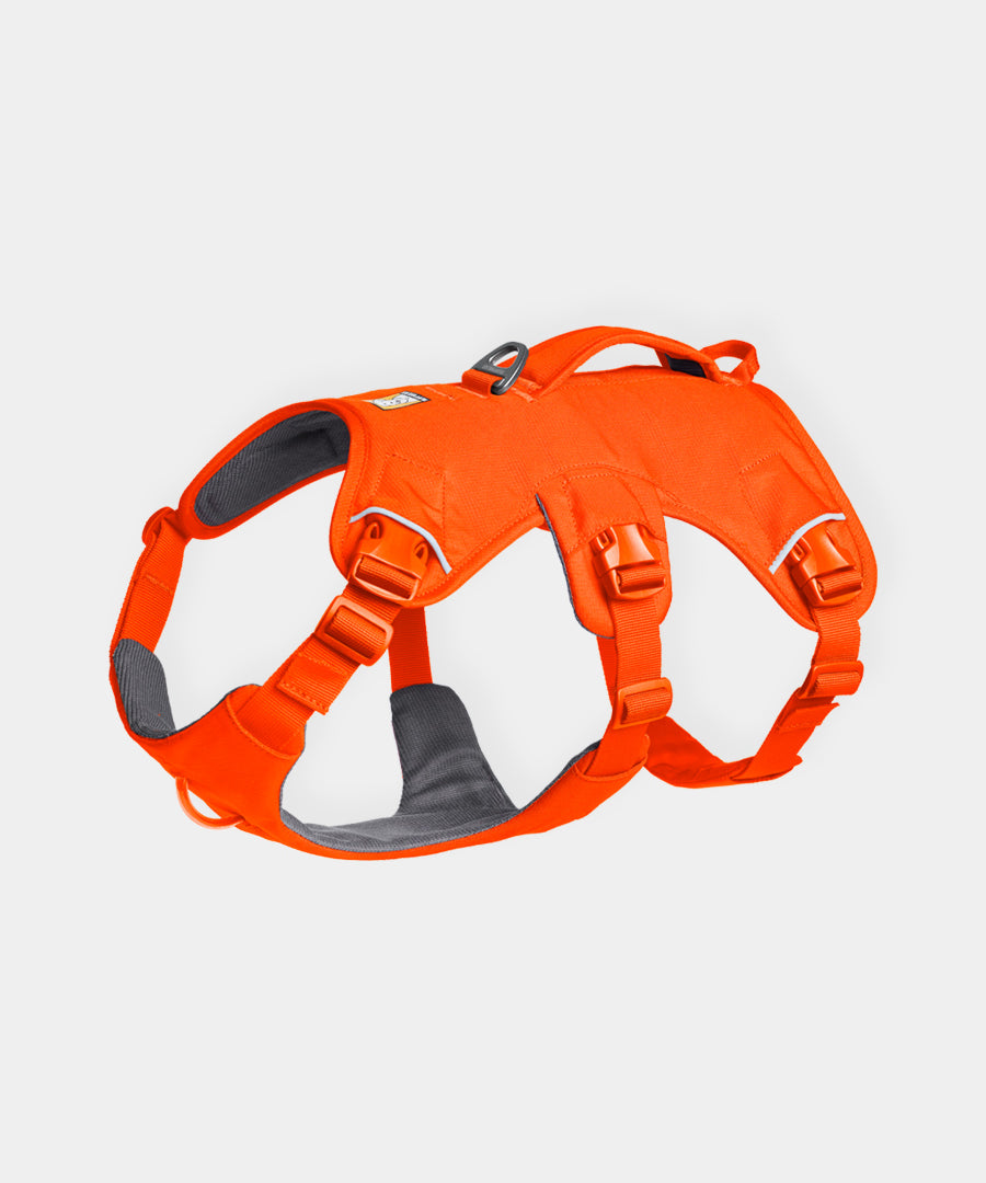 ruffwear-harnais-web-master-pour-chien-orange