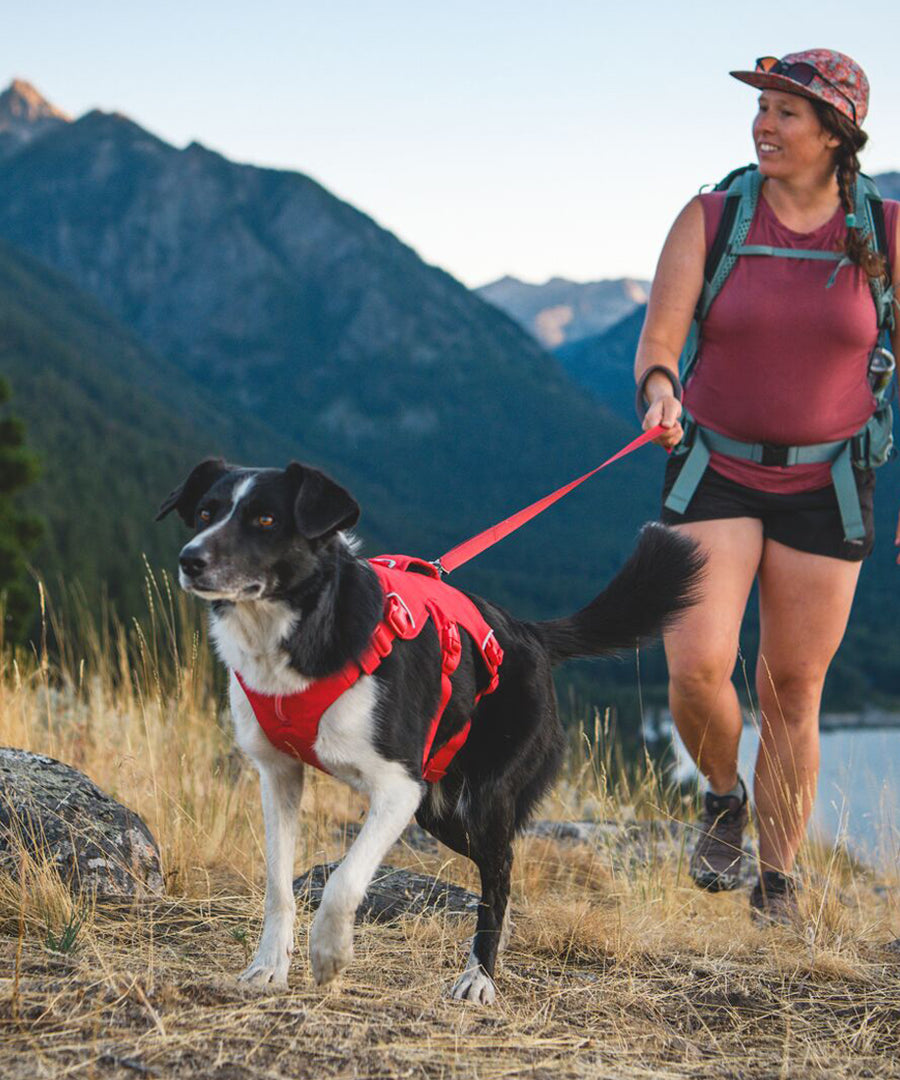 ruffwear-harnais-web-master-pour-chien-rouge