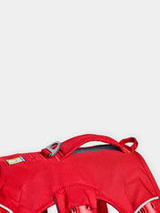ruffwear-harnais-web-master-pour-chien-rouge