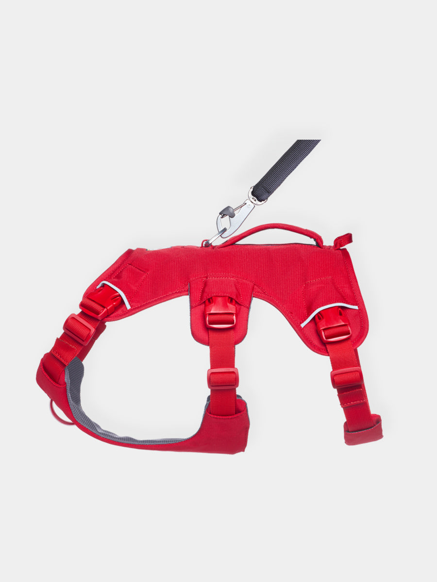 ruffwear-harnais-web-master-pour-chien-rouge