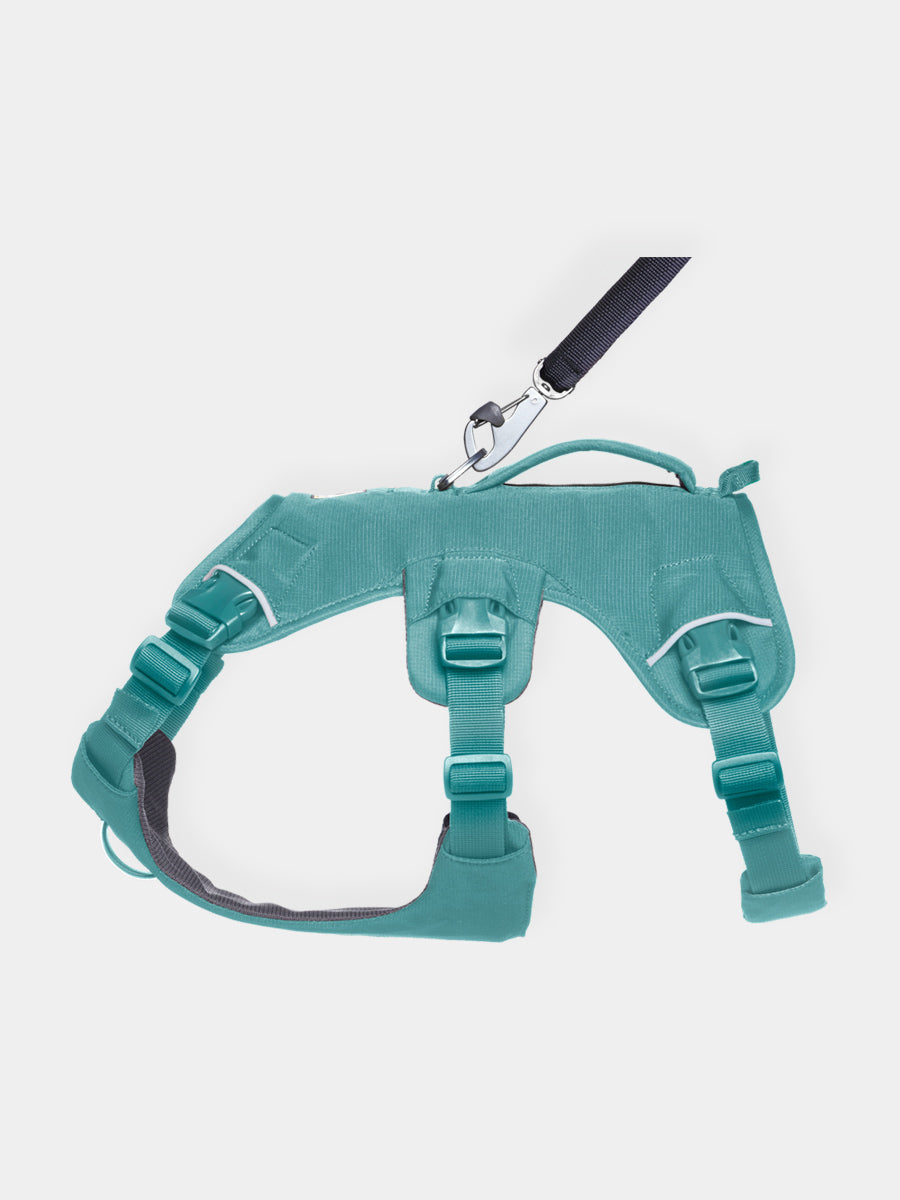ruffwear-harnais-web-master-pour-chien-vert