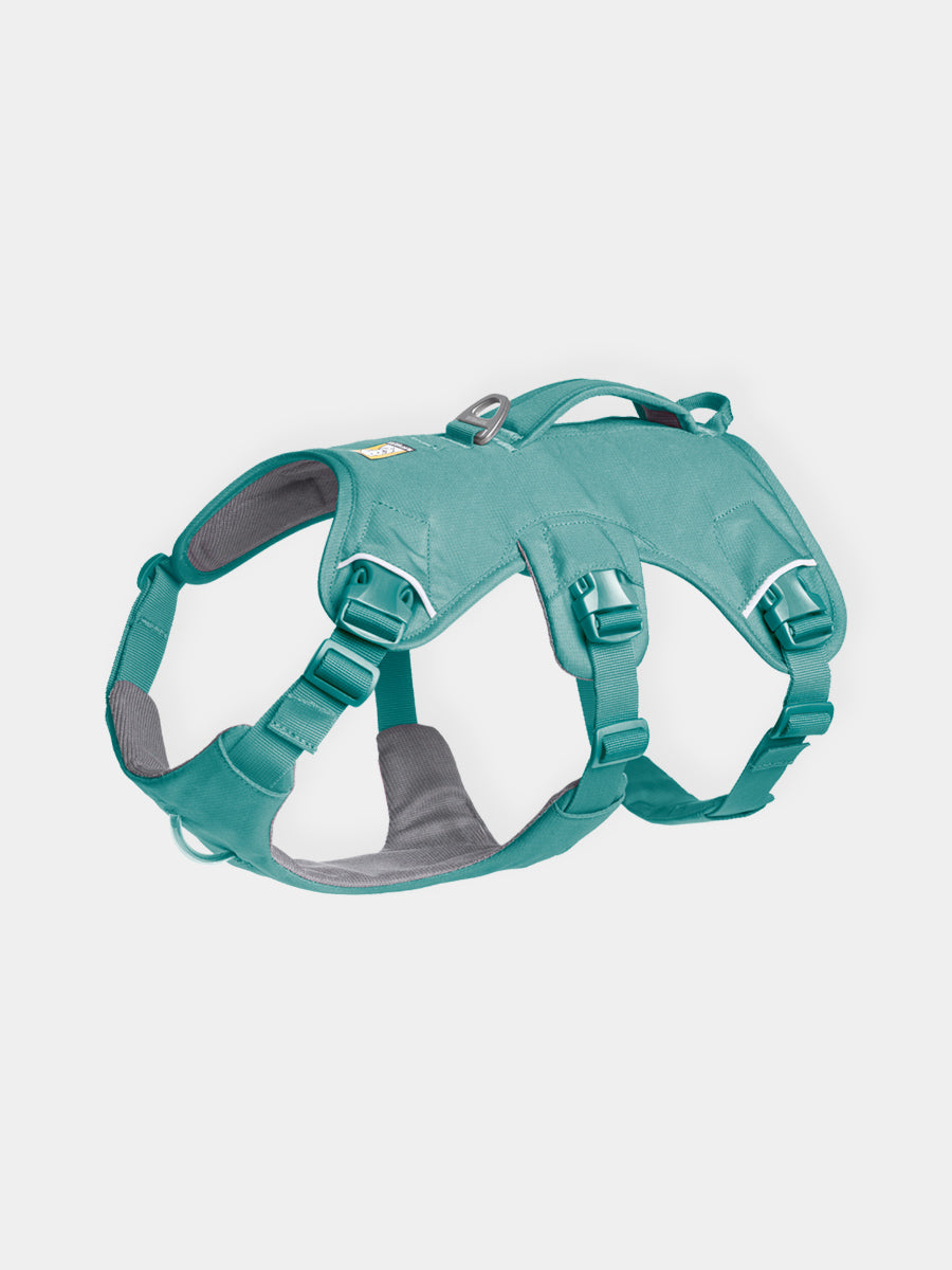 ruffwear-harnais-web-master-pour-chien-vert
