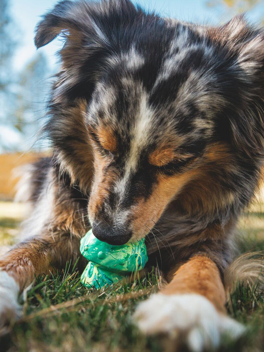 ruffwear-jouet-resistant-eco-friendly-durable-naturel-Toadstool-morel-vert